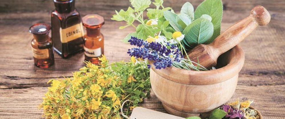 herbs-759